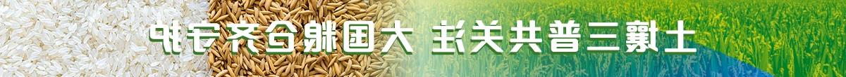 土壤三普共关注 大国粮仓齐守护